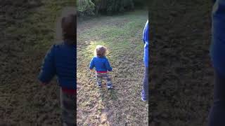 Dog plays fetch and jumps on little boy
