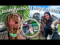 International Dog Day 2021! - German Shorthaired Pointer | Shopping spree for my dog!