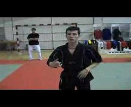 Raiz Tutorial by Jean Francois