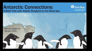 Conservation and Art: Antarcticas Adelie Penguins