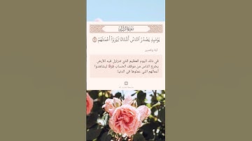 سورة الزلزلة أية (٦)