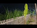 Kompilasi kereta api malam..