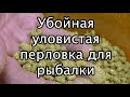 Убойная уловистая перловка для рыбалки!