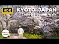 Philosopher&#39;s Path Cherry Blossom Walk - Kyoto, Japan - HDR 4K60fps with Captions