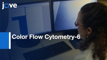 CD4+ T-cells & Analysis-Circulating cTfh Cell Subsets From Peripheral Blood l Protocol Preview