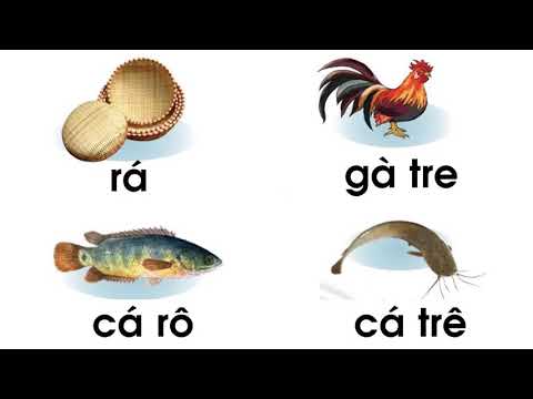 Tuần 5 - Môn Tiếng việt - Bài r tr (Tiết 2)