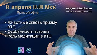 Миры внетелесного опыта с практиком. Андрей ЩЕРБАКОВ - особенности мира ВТО