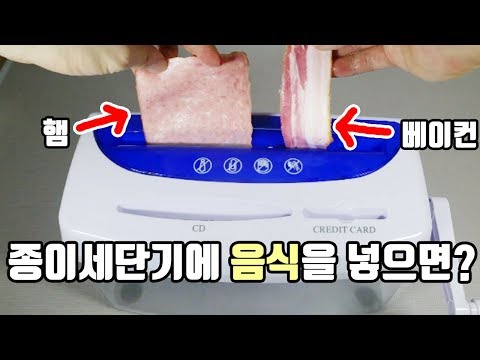 종이를 갈아버리는 세단기에 음식을 넣으면 어떻게될까??