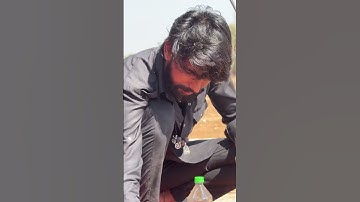 Thumbnail of Jay maa kali #song