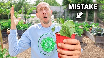 5 Tips for Growing Cucumbers