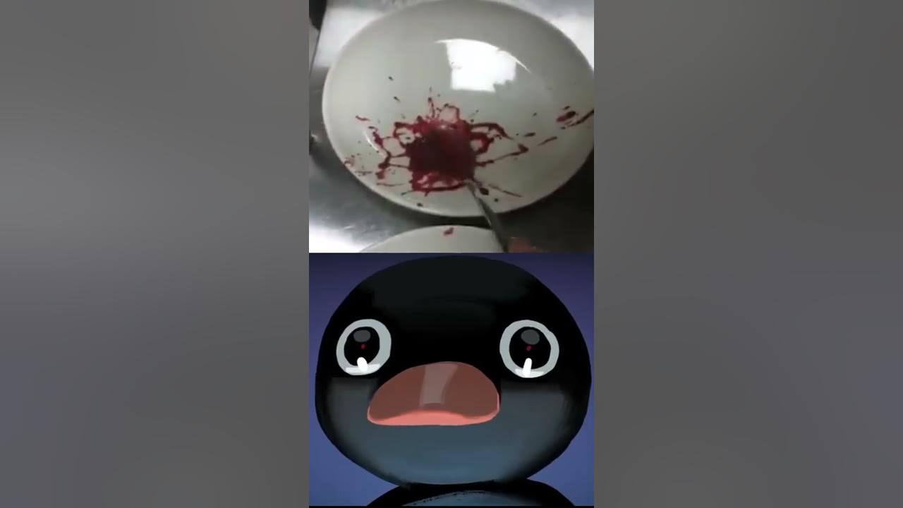 NOOT Noot #shorts #meme #pingu