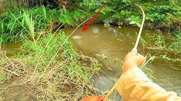 Câu cá Suối | giật cá chạch cá rô phi bằng cần tre hết muốn về luôn