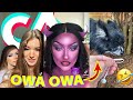 TIK TOK MEMES that made Pudgy say 'OWA OWA' 😂🥰