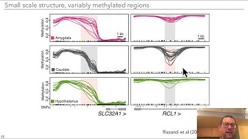 E14.2 - Computational analysis of DNA methylation in disease