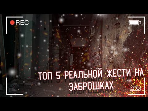ТОП 5 РЕАЛЬНОЙ