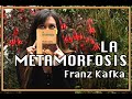 La metamorfosis - Franz Kafka / Resumen y Análisis.