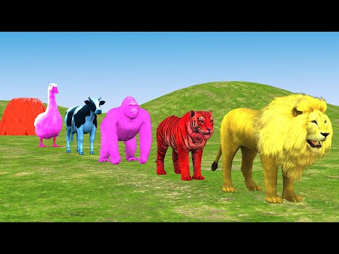 Long Slide Game With Elephant Gorilla Buffalo Hippopotamus Tiger - 3d Animal Game 