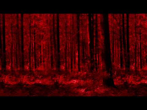 GAS - Zeit