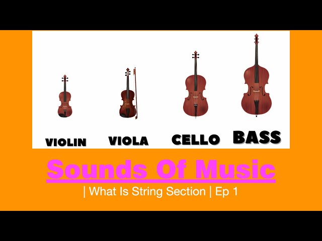 Sounds Of Music | What Is String Section | Ep 1 #violin #viola #cello #doublebass class=