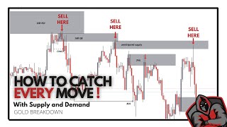 Catch Every Move Using Supply And Demand | Forex | Institutional Strategy