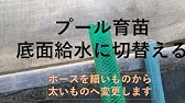 徹底解説 いちご苗作り でポット底から水を供給する 底面給水 のやり方をご紹介 前編 Youtube 徹底解説 いちご苗作り でポット底から水を供給する 底面給水 のやり方をご紹介 前編 Youtube