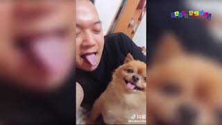 Разные приколы с разными животными. Заботливая собака. Разные приколы с разными животными. Заботливая собака.