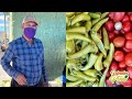 La frutería del amigo “HUACHAS” en el tianguis de Valparaíso Zacatecas 2021 | Domingo 14 de Marzo