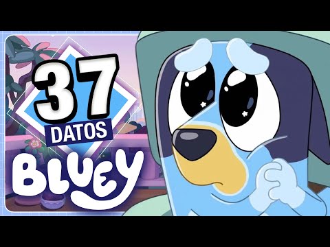 Video: ¿Quién es el creador de bluey?