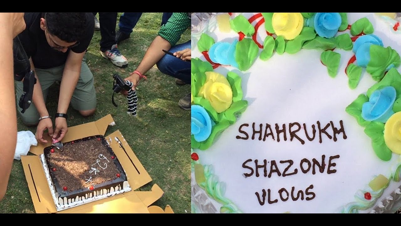 V-Log # 20 - Vbo.Vlogs meetup in Central Park || Shazone Vlogs Birthday Party || KarizmaticIndia