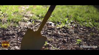 Miles Iotas Spring 2019 Probate Promo Video