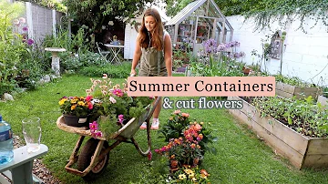 Summer Garden Refresh: Vibrant Colors and Beautiful Cut Flowers | Cottage Garden Vlog 🪴