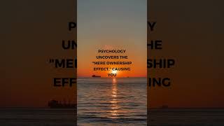 Unmasking the Illusion of Transparency: Revealing the Hidden Depths of Human Perception