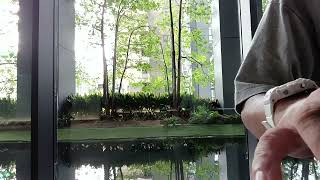 I-9696. Improvisation for Piano by Shigeru Kan-no