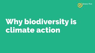 Why biodiversity is climate action