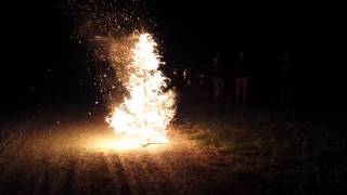 Christmas Tree Mayhem pt2