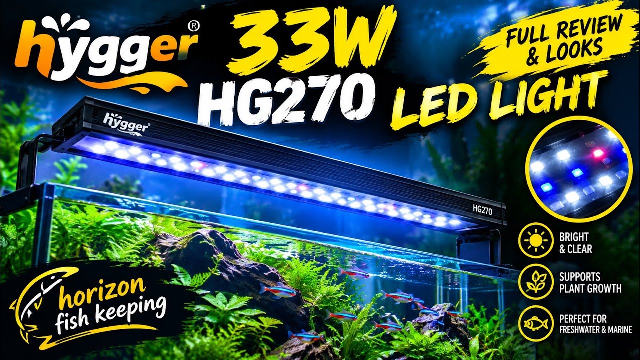 Awesome aquarium plant growing light from Hygger 