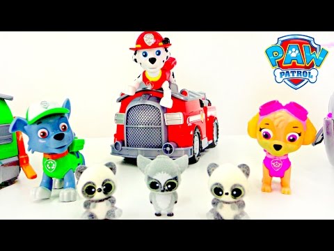 Toy Cars & Toys Full Videos. Paw Patrol Toys, Super Wings Toys & Blaze And The Monster Machines