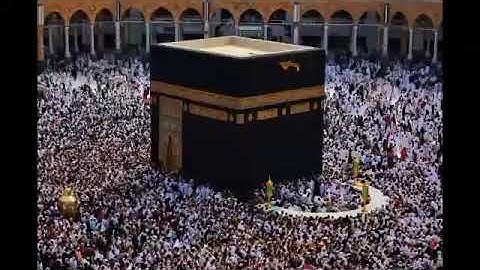 سورة الإخلاص،القارئ ماجد الزامل/ Shaikh Majed Al zamil, Surah Al-Ikhlas صوت رائع