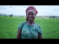 Promoting Agri-Business in Rwanda, #2 | Clinton Development Initiative