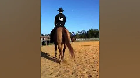 UCF Western show IHSA Nov 6, 2011 intermediate 2-H...