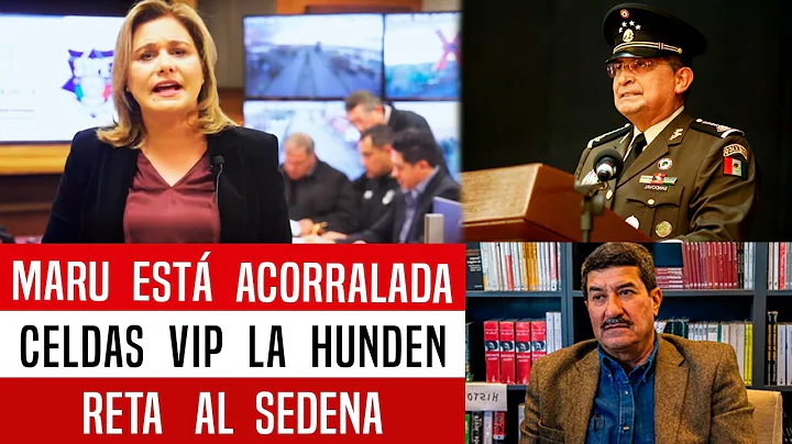 LUIS CRESCENCIO TRON! CELDAS VIP HUNDEN A MARU. SE...
