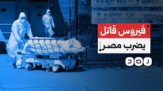 انتشار أعراض فيروس ماربورج في مدارس مصر يثير القلق.. والصحة تنفي