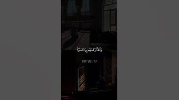 سورة النساء|87-89|القارئ:#ياسر_الدوسري #قران #quran #راحة_نفسية #قران_كريم  #تلاوة_خاشعة