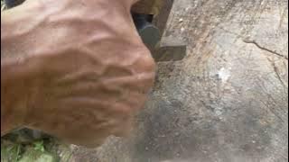 Download lagu wis.dol