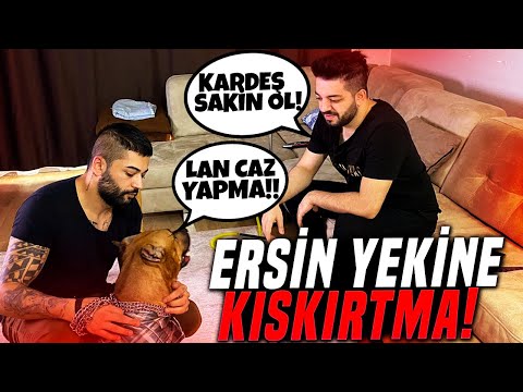 PİTBULL PAŞA İLE ERSİN YEKİNE KIŞKIRTMA YAPMAYA ÇALIŞTIK!