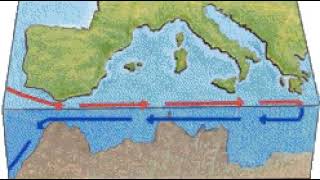 Mediterranean current