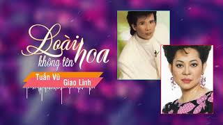 Video thumbnail of "Loài Hoa Không Tên - Tuấn Vũ, Giao Linh | Song Ca Nhạc Vàng Hải Ngoại"