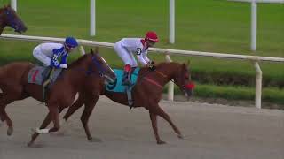 Vidéo de la course PMU PRIX QUILLAN (2022-2023)