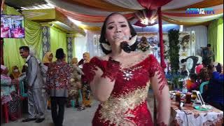 Akhire Pisahan - Wiwit -Areva Music - Aeromax Audio - Live Lalung Kra