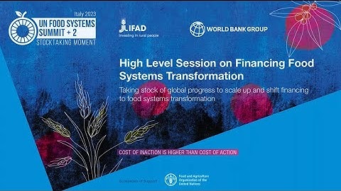 UNFSS+2: Financing food systems transformations